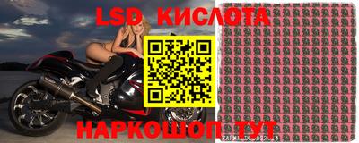 амф Обь