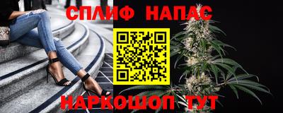 амф Обь